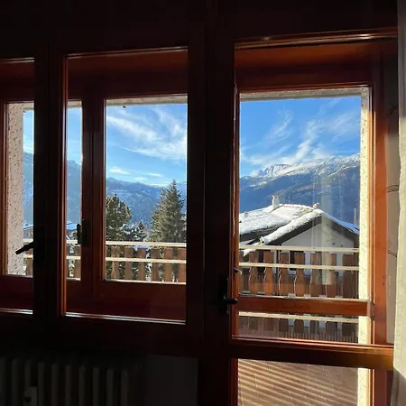 Appartement La Primula